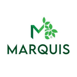 Marquis