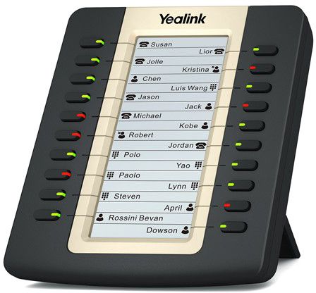 Expansion EXP-40, Buttons for T46/8 Phones